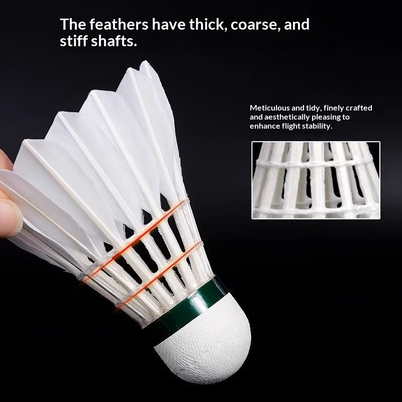 Volano da badminton VICTOR Gol - Victor Shuttlecock Feather recensione e prezzo
